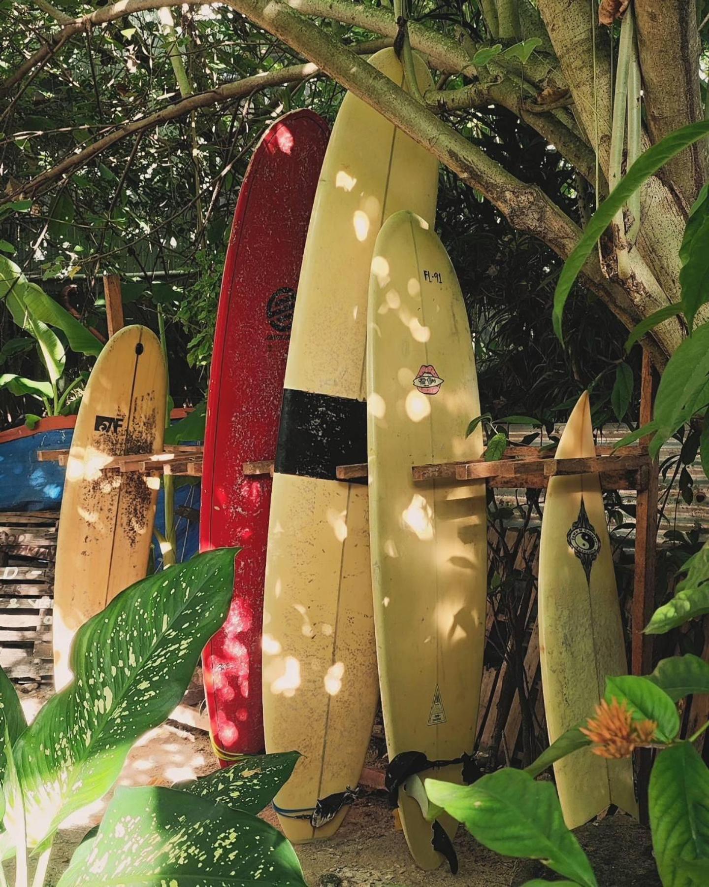 Hostel Wave Retreat General Luna  Exterior foto